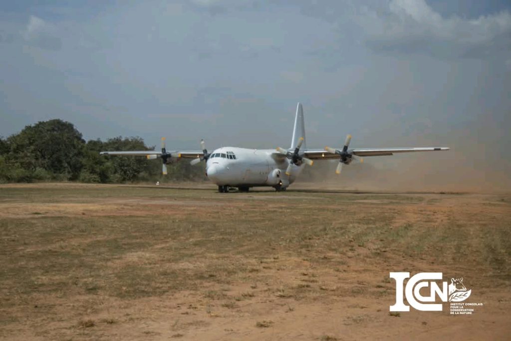 1004565400-1024x683 RDC-Parc National de la Garamba : Réception de 24 rhinocéros blancs