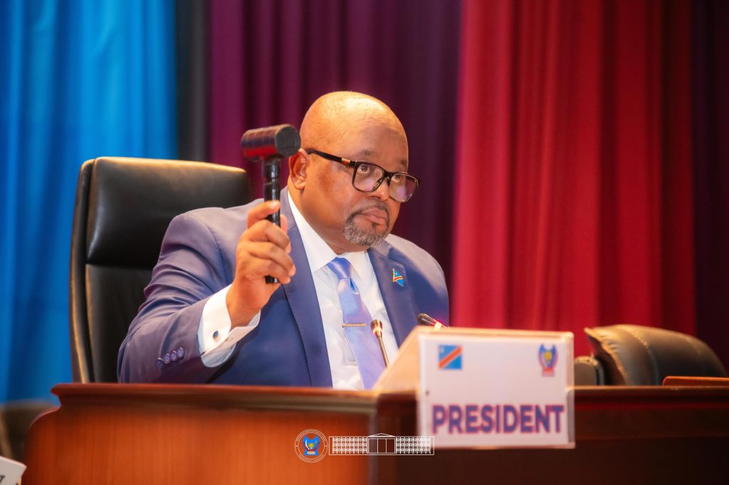 849038-1024x682 RDC-Assemblée nationale-Proposition de loi relative à l’organisation du référendum en RDC: La plénière approuve et déclare recevable le rapport annuel 2025 de la CENI