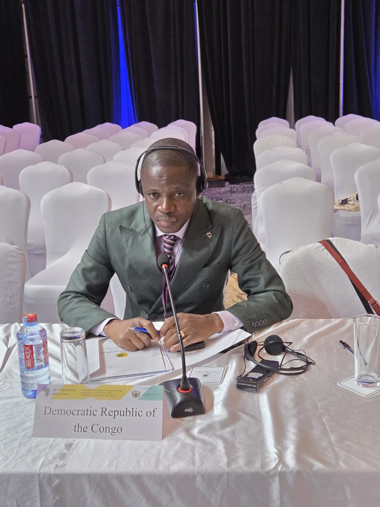 920179-768x1024 GHANA-18e Table Ronde Ministérielle eLeaning Africa: La Ministre Marie-Thérèse Sombo Ayanne Safi Mukuna présente à Accra via une délégation